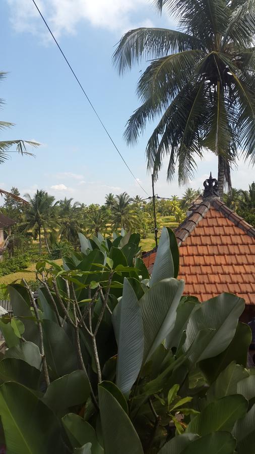 Villa Bungsil Gading Ubud  Luaran gambar