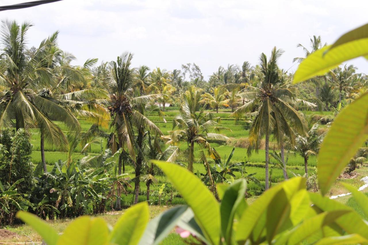Villa Bungsil Gading Ubud  Luaran gambar
